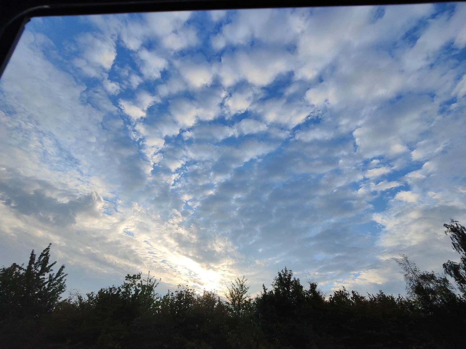 Beautiful altocumulus mackerel sky pattern of white clouds over treetops at sunrise viewed through car window.