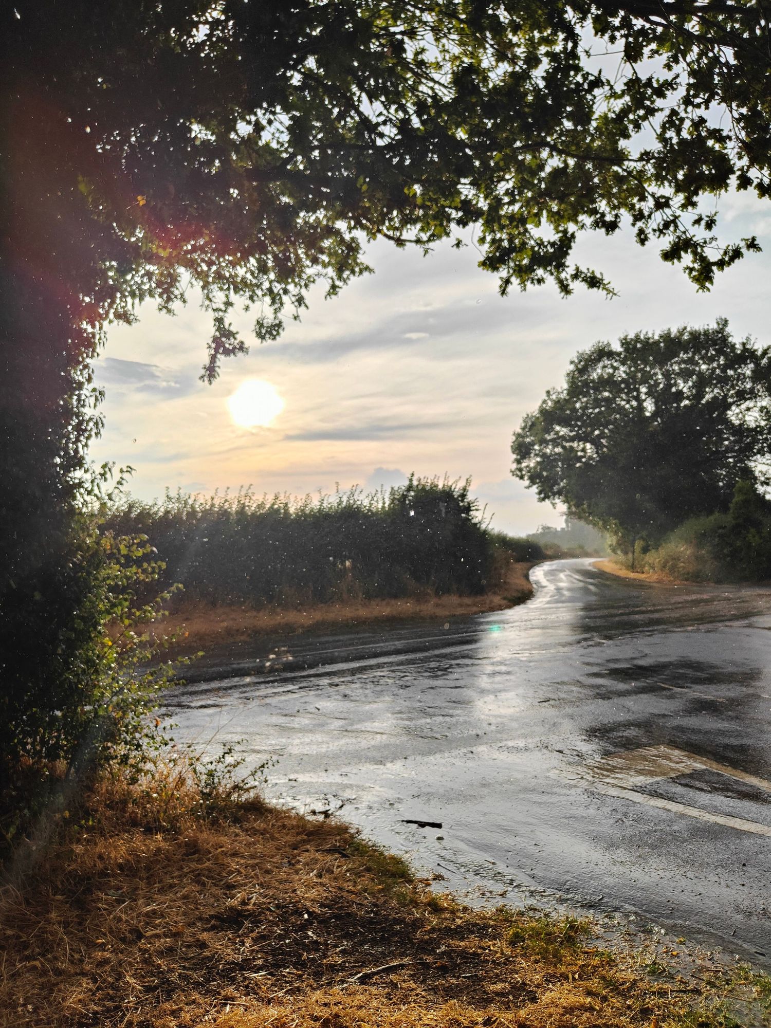 Stunning sunrise over a wet winding country road lined with trees and hedgerows in rural England.
