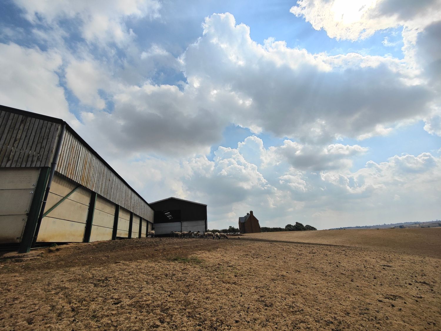 Vast sandy farmland with corrugated metal agricultural barns under a dramatic cloudy blue sky in rural England.
