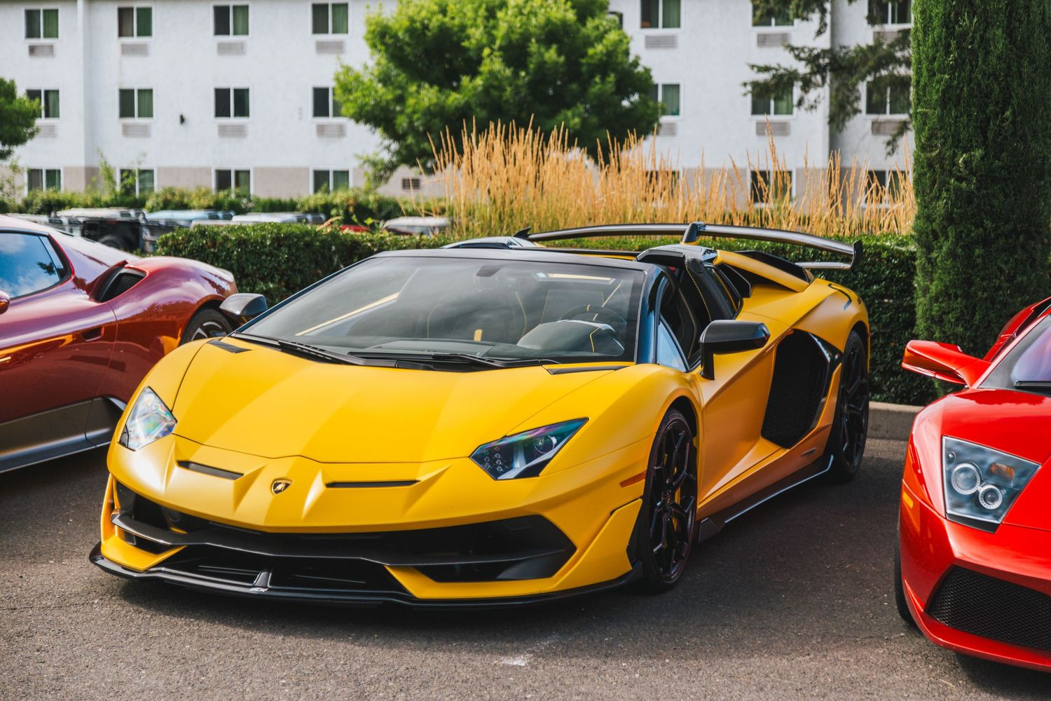 Yellow Lamborghini SVJ at Italian Day at Portland Cars and Coffee.