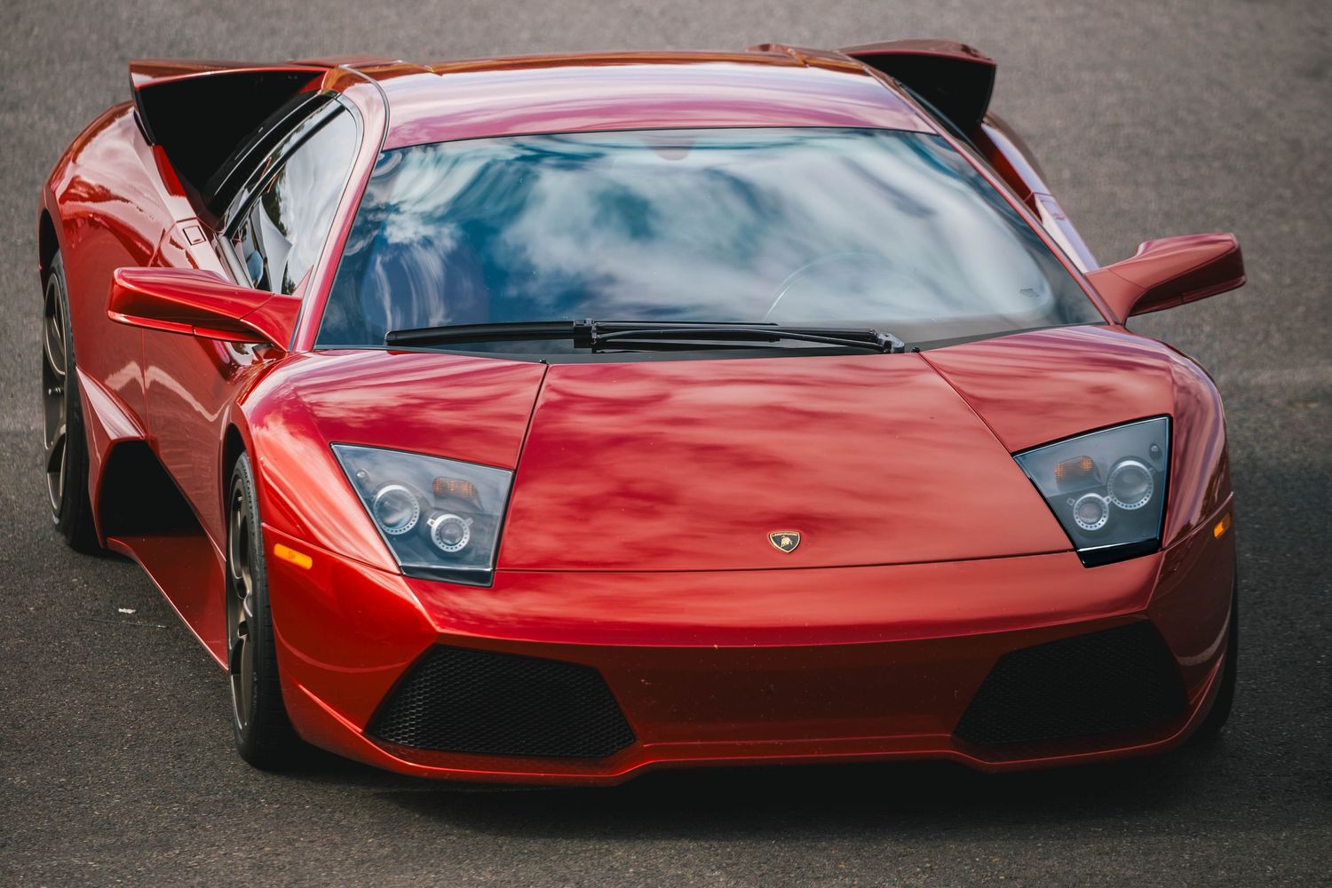 Lamborghini Murcielago parked at Portland International Raceway for the Taste of Motorsports track day event.