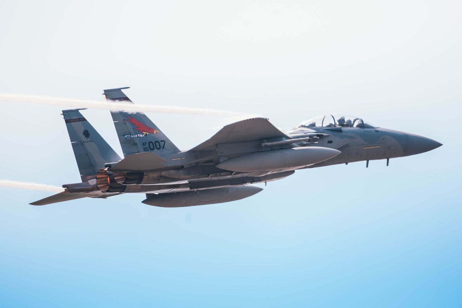 F15 Eagle Performs a low pass at the 2026 McMinnville Air Show in McMinnville Oregon.