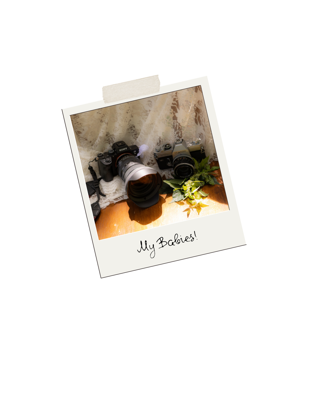Polaroid photo of professional cameras labeled My Babies on a decorated surface.