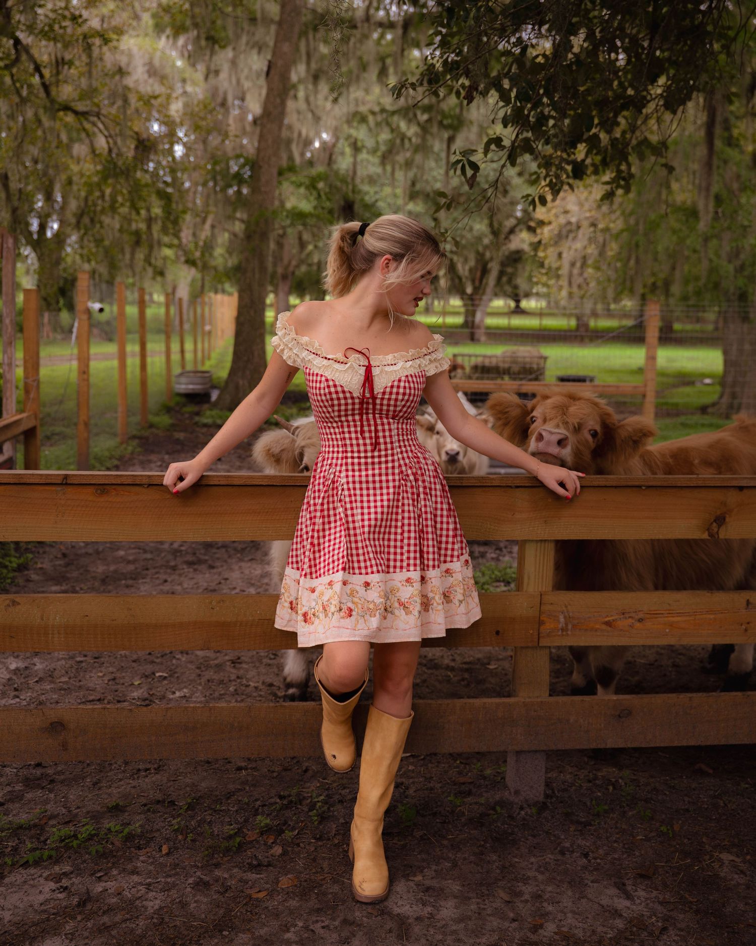 Woman in red gingham dress and cowboy boots posing by a wooden fence with Highland cattle.