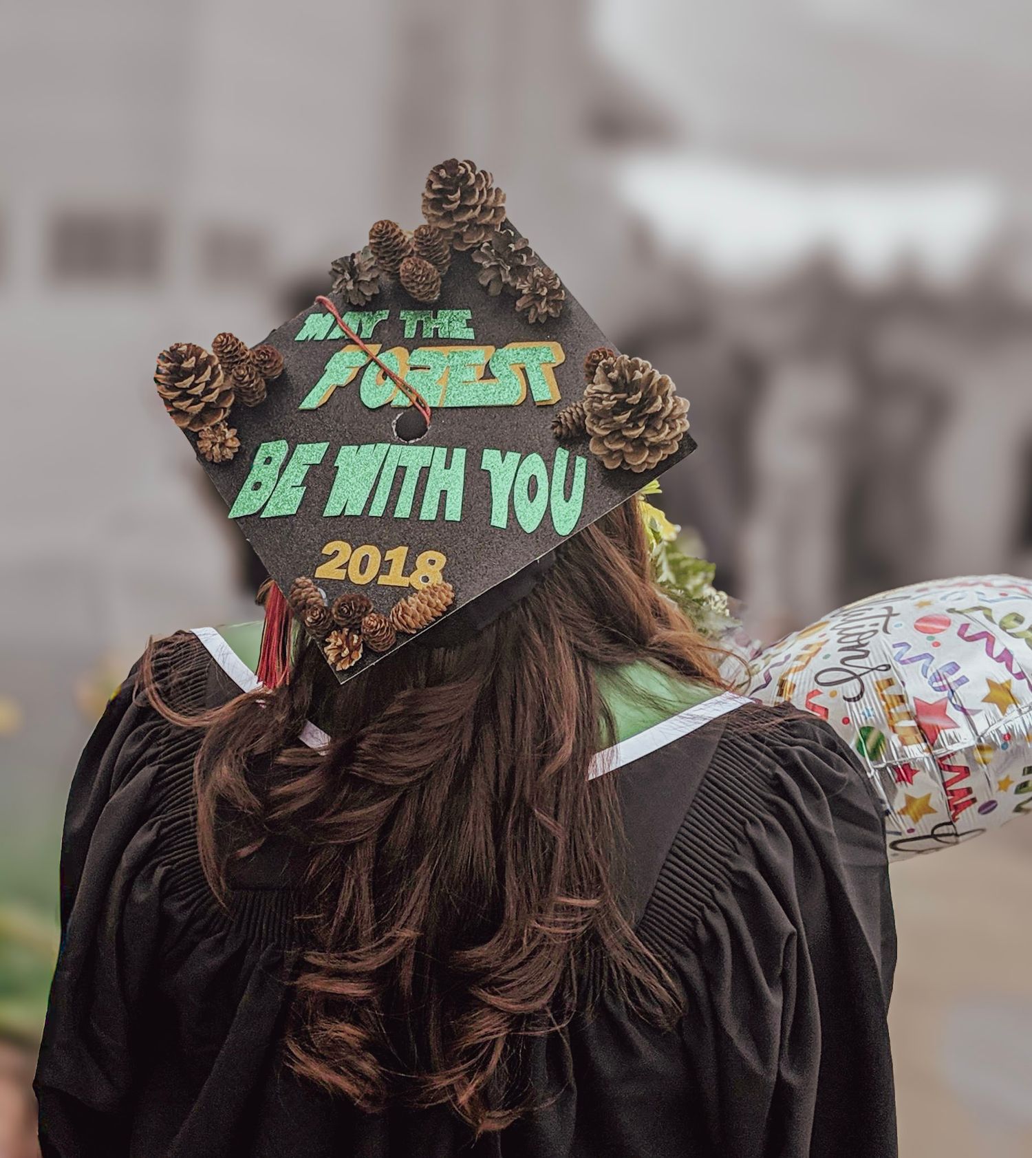 Graduation cap decorated with pine cones and May The Forest Be With You 2018 text.