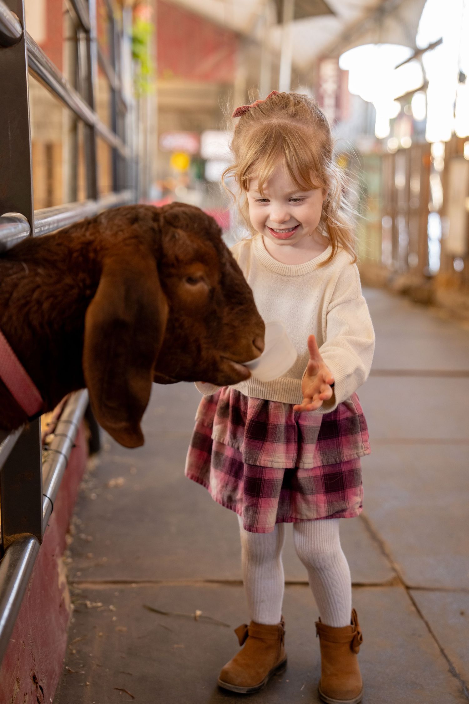 Cheerful little girl in plaid skirt feeding a brown goat at a petting zoo.