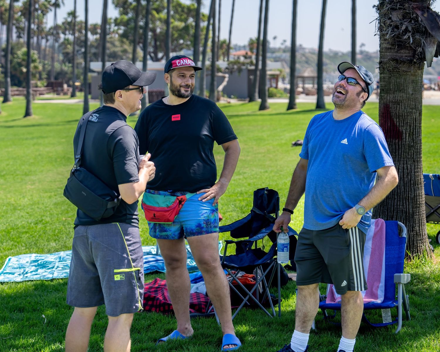 Three men laughing and socializing on a sunny green park lawn at an outdoor casual gathering.