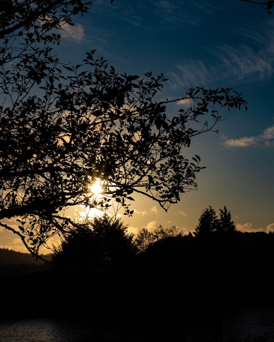 A photo depicting the setting sun in a nature setting.