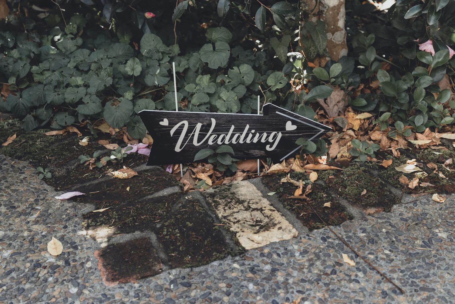 Black arrow wedding directional sign on cobblestone path surrounded by green foliage.