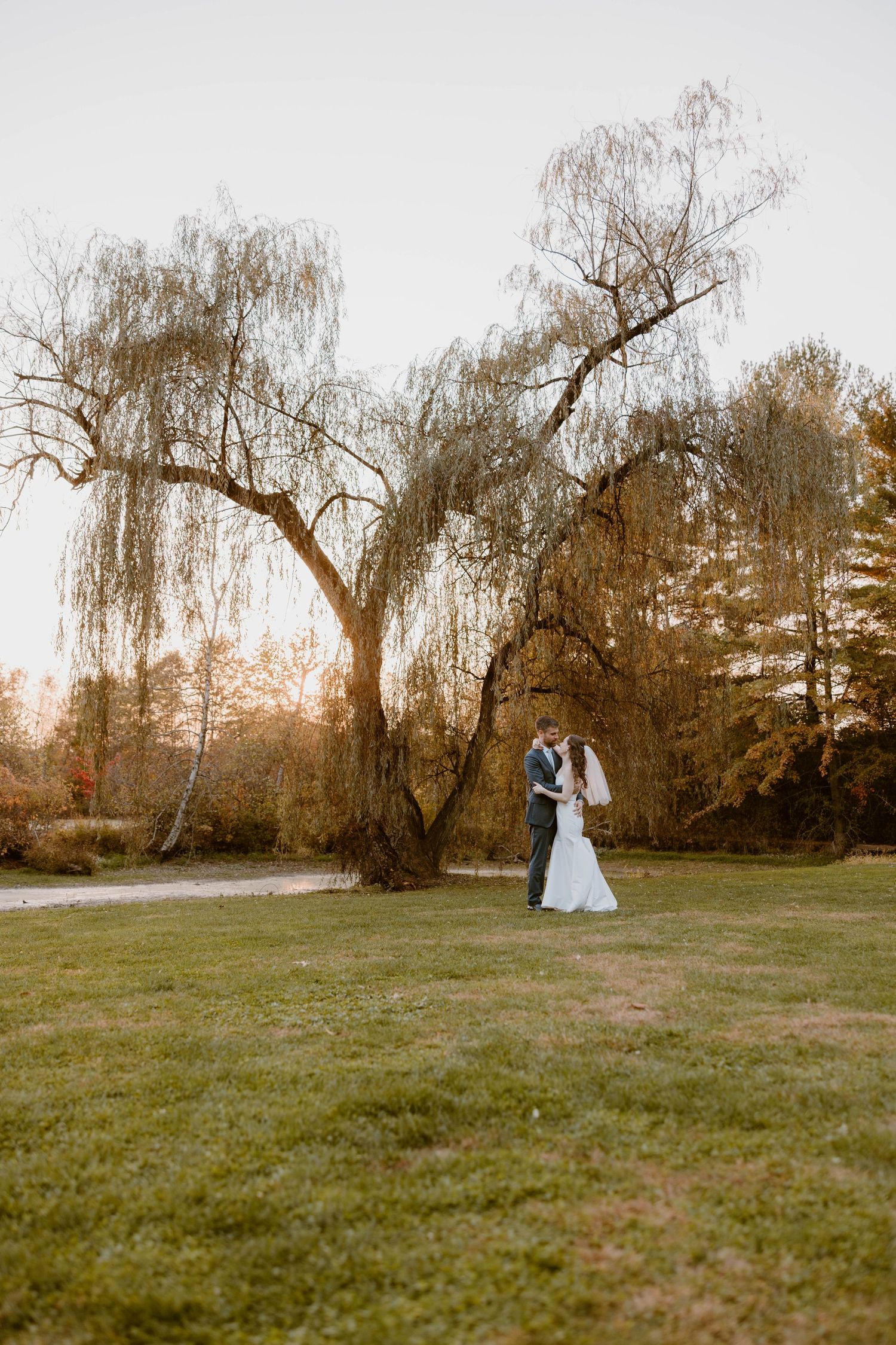 Bride and groom sharing romantic kiss under weeping willow tree on lush green lawn at golden hour.