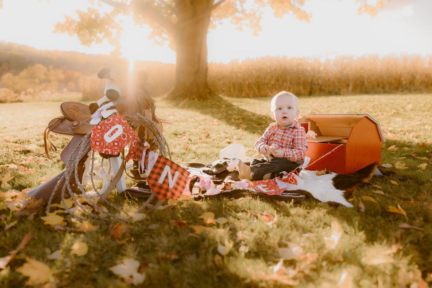 Baby sitting on a blanket outdoors at golden hour beside a tiny tent and bicycle decorations.