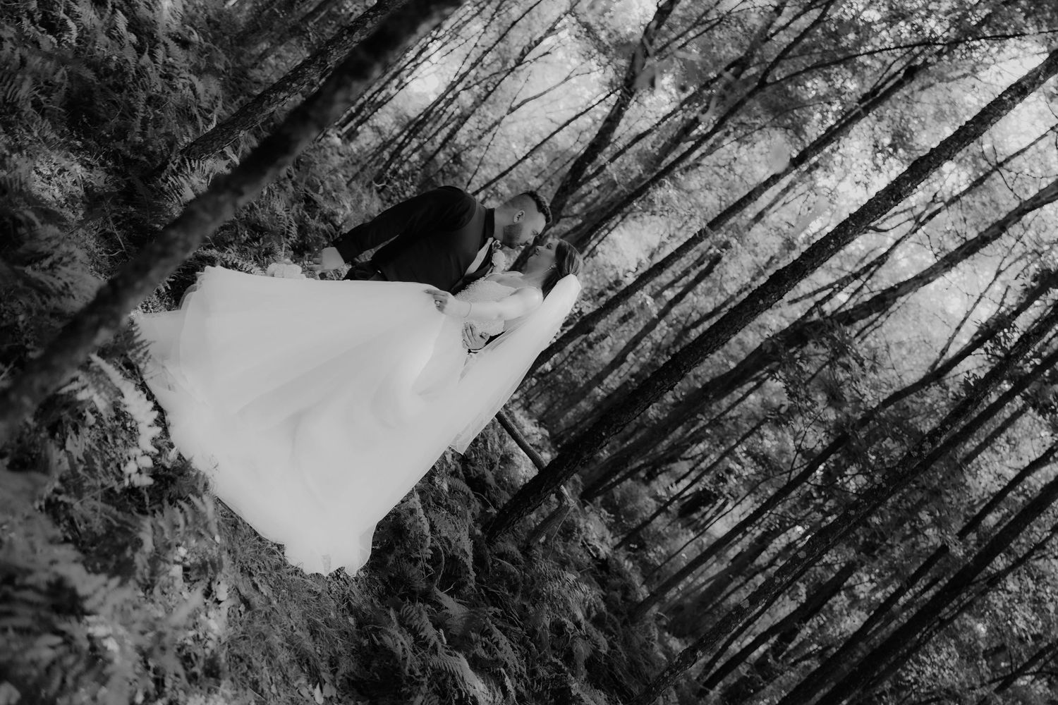 Black and white photo of a bride in a flowing white gown embracing her groom among tall slender trees in a misty forest.