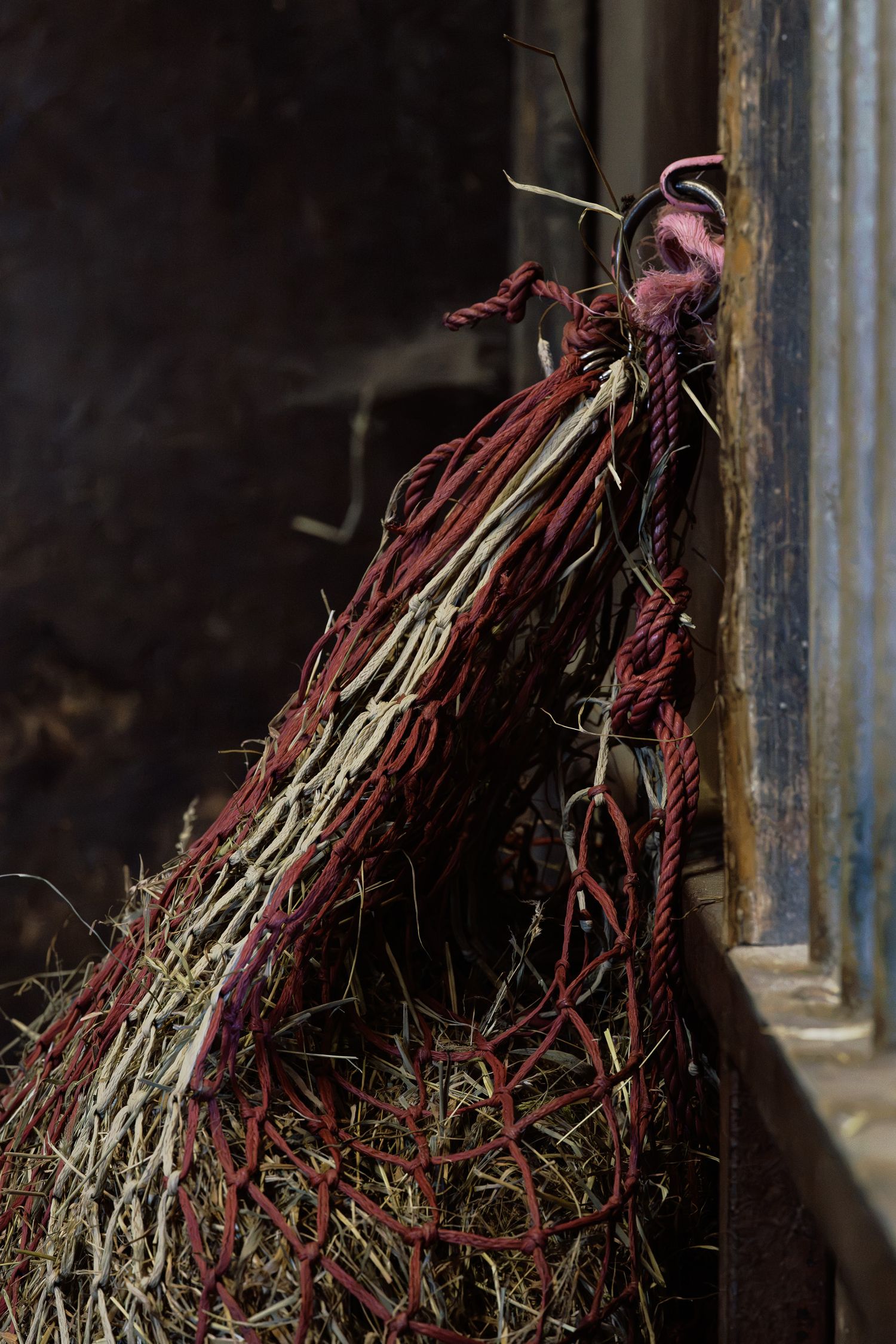 Tangled bundle of frayed red and white ropes mixed with dry straw leaning against a rustic wooden door frame.