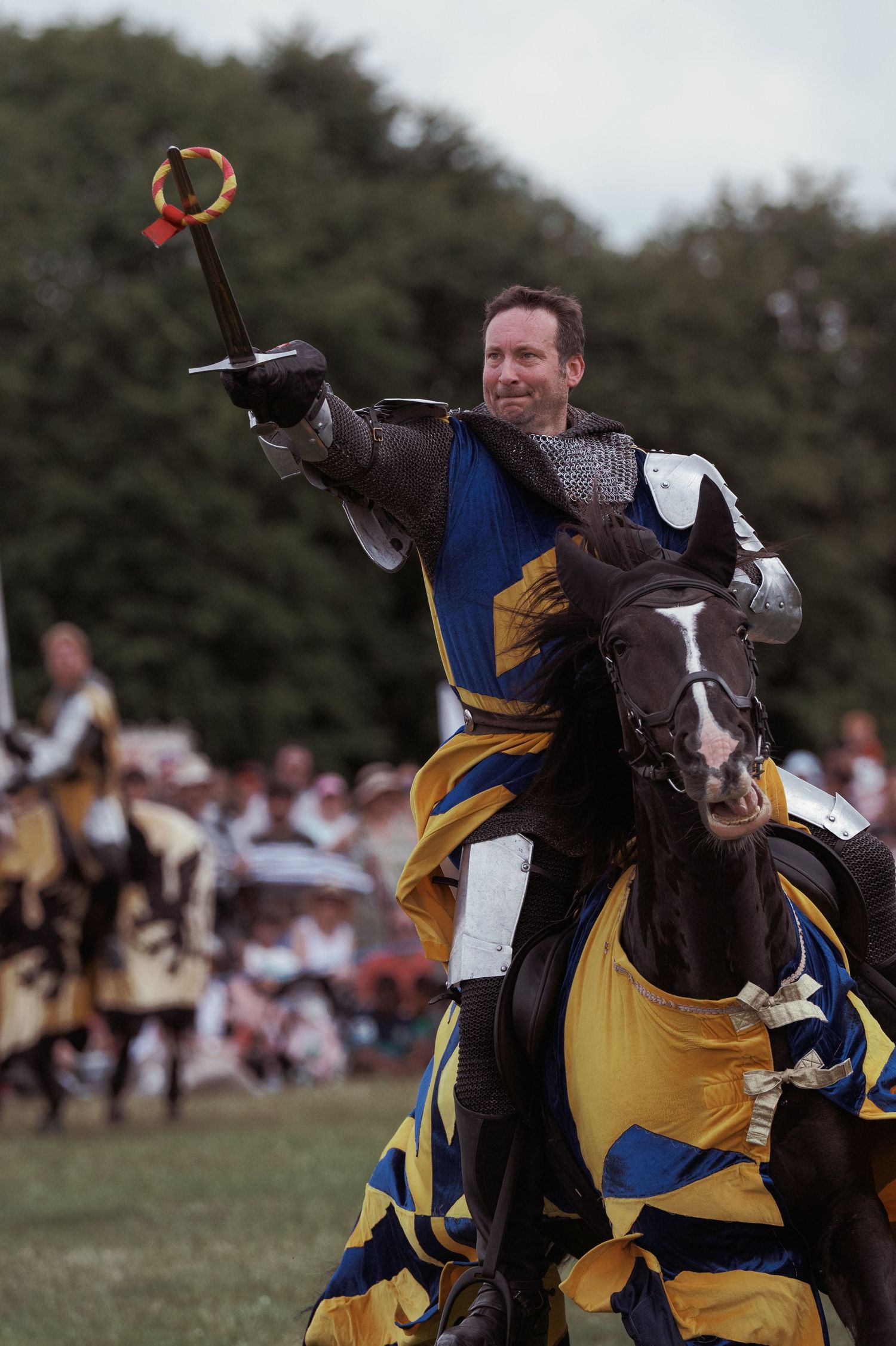 Knight in blue and gold armor rides dark horse, raising sword triumphantly at medieval jousting tournament reenactment.