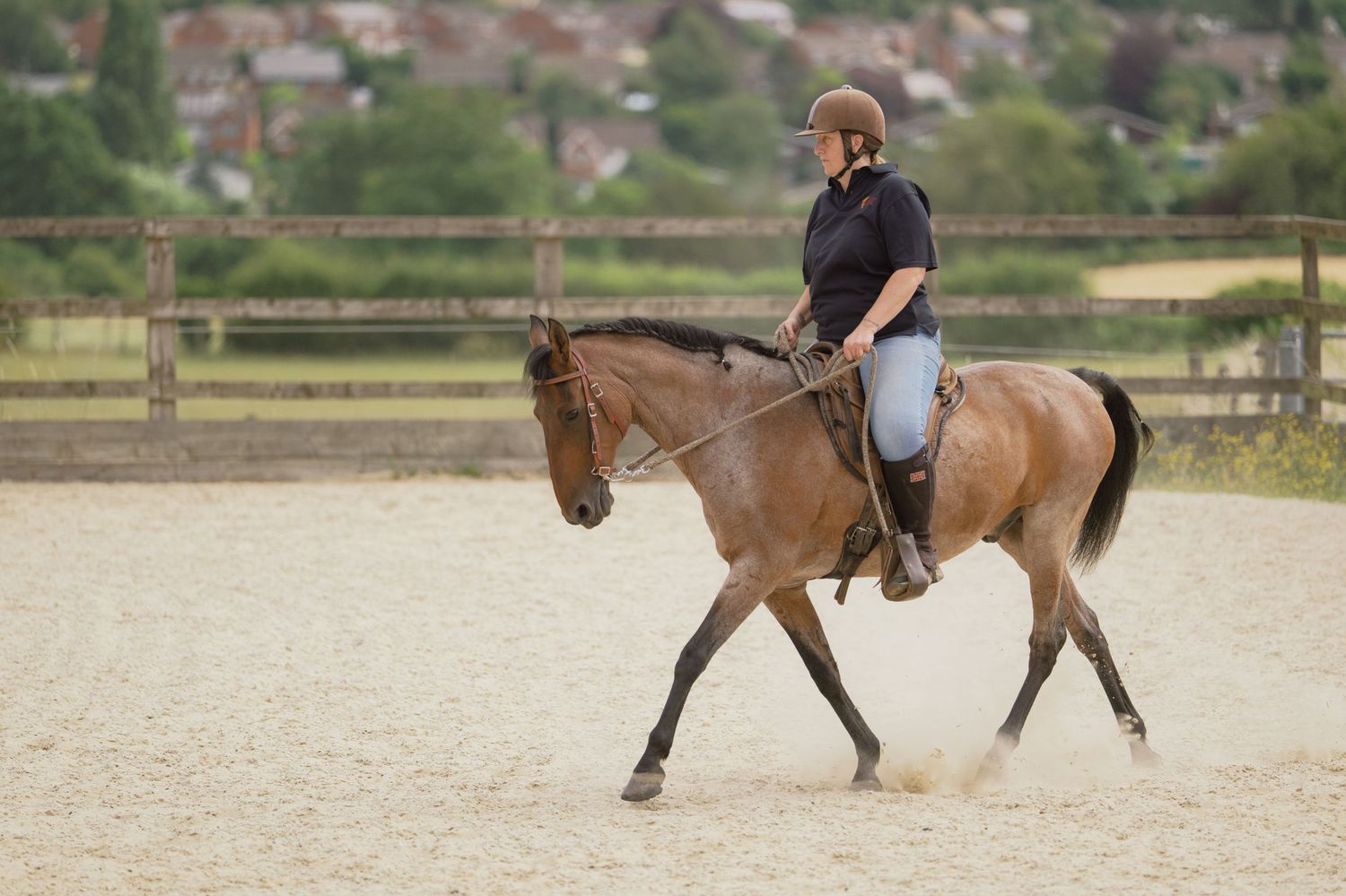 A rider in helmet and black top canters a bay horse in an outdoor sand arena with wooden fencing and greenery.