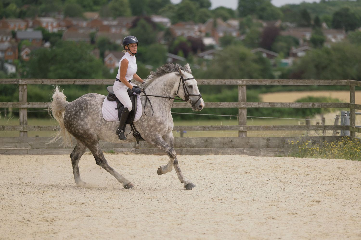 A rider in white and helmet canters a dapple grey horse in an outdoor arena with a town visible behind.