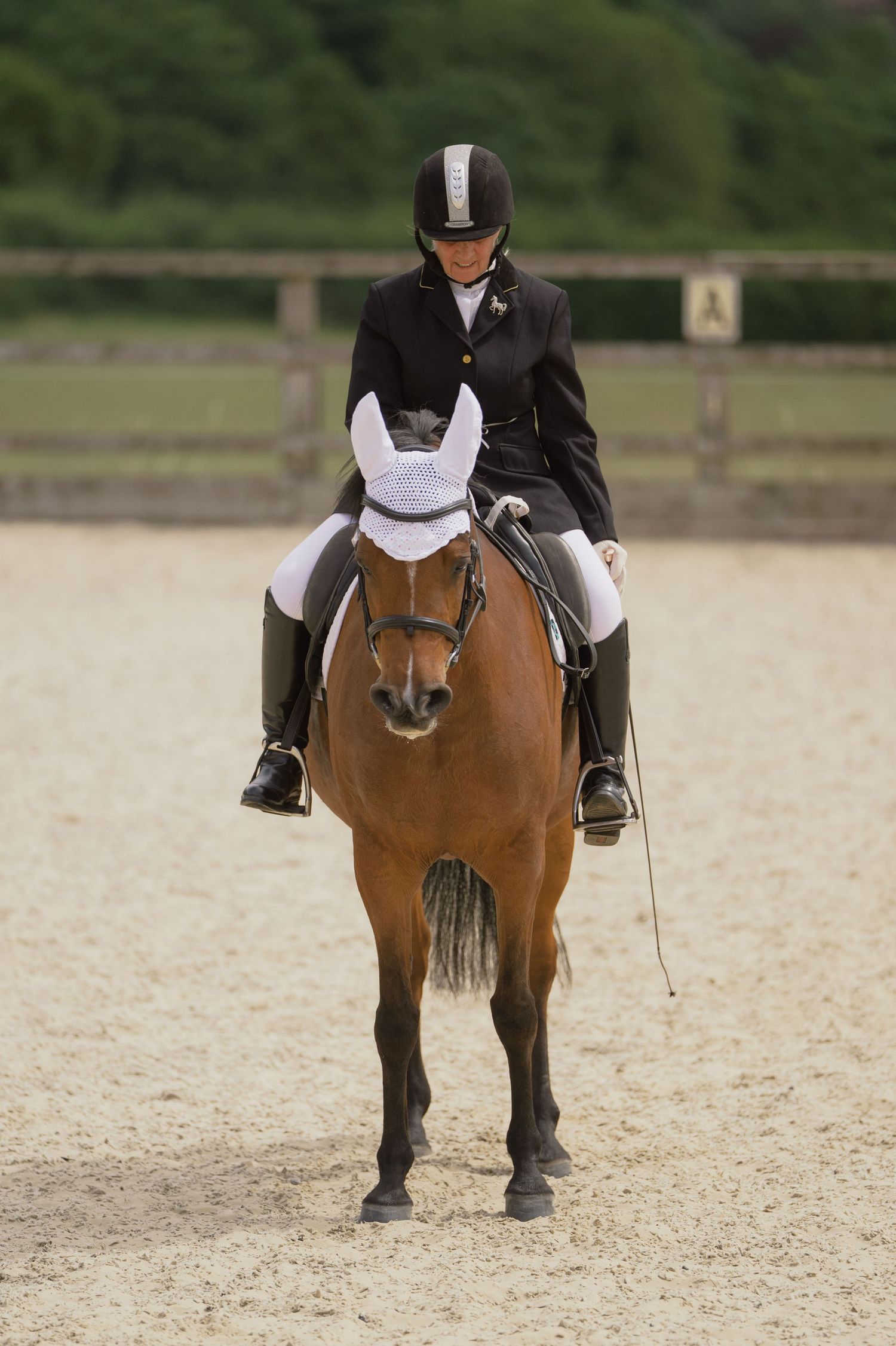 Equestrian rider in black jacket and helmet on a bay horse during a dressage competition on a sand arena.