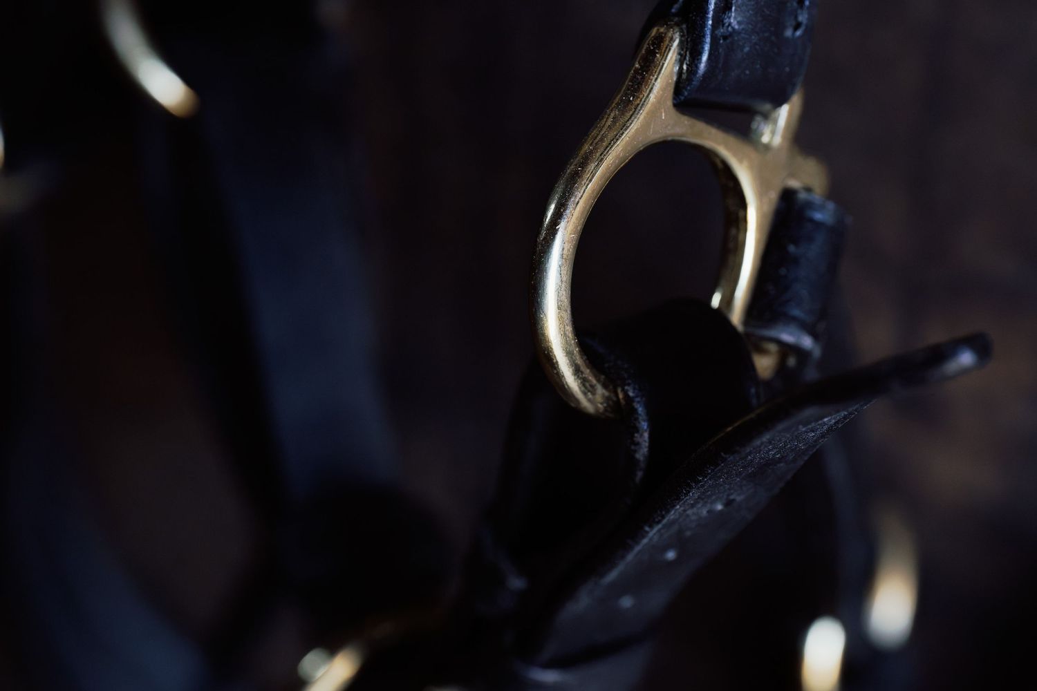 Close-up of a gold brass buckle on a dark leather equestrian bridle strap.