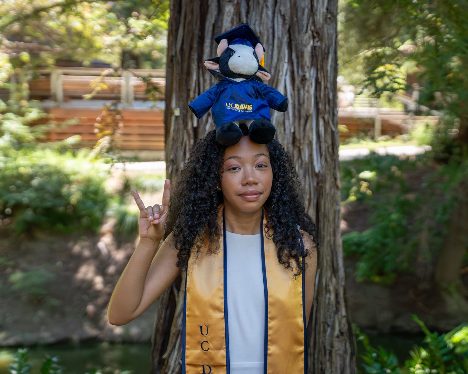 UC Davis graduate poses with Gunrock mascot plush on head, wearing gold stole, making Aggie hand sign by a tree.