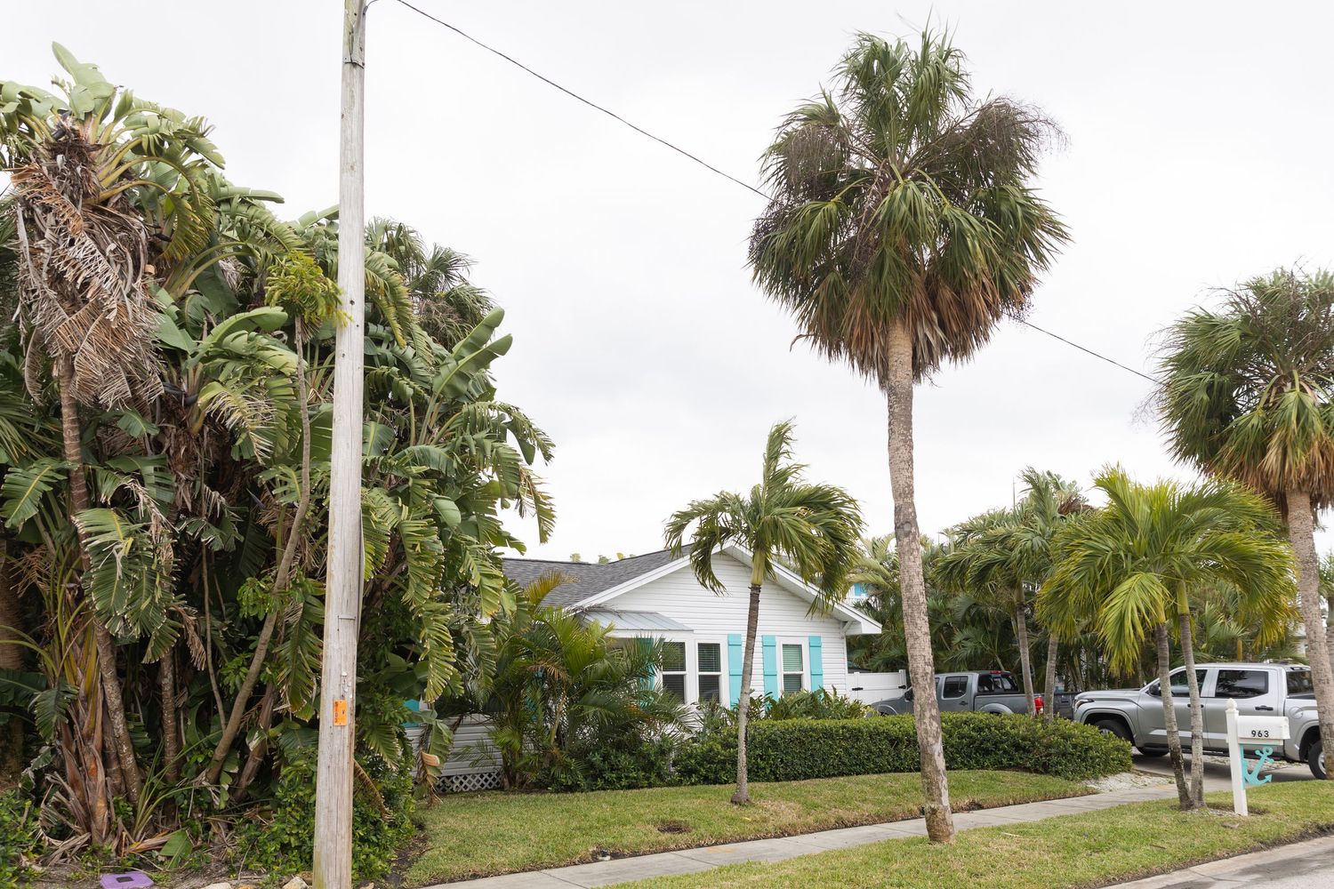 Tropical Florida home with palm trees, lush greenery, and a light blue exterior on a sunny day.