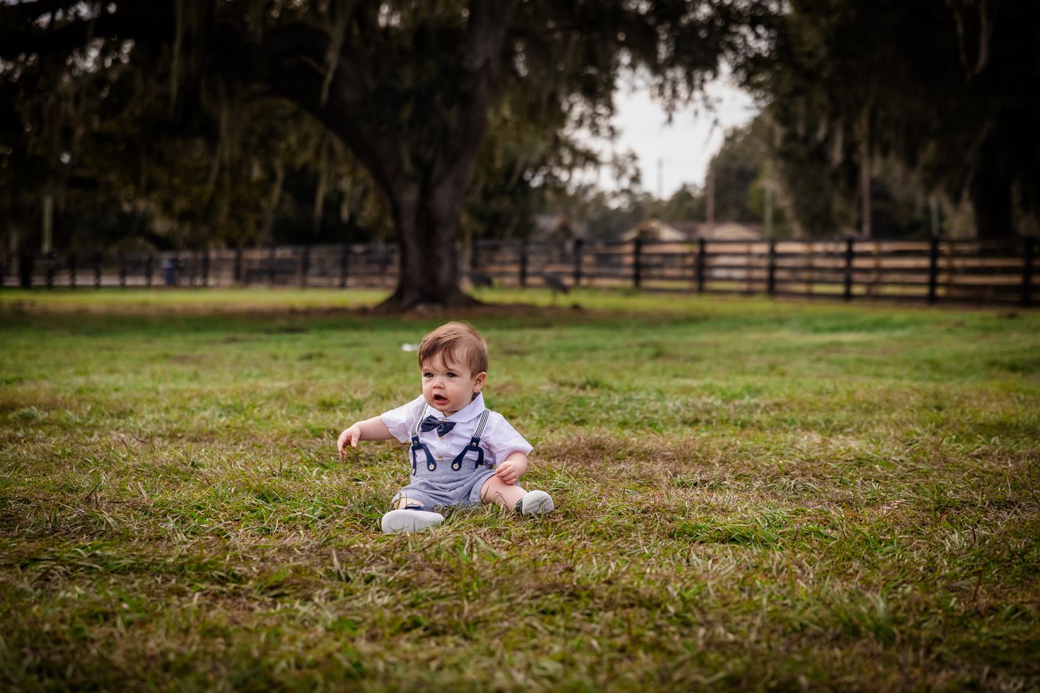 A baby boy in a gray outfit sits on green grass in an open field with trees and a wooden fence.