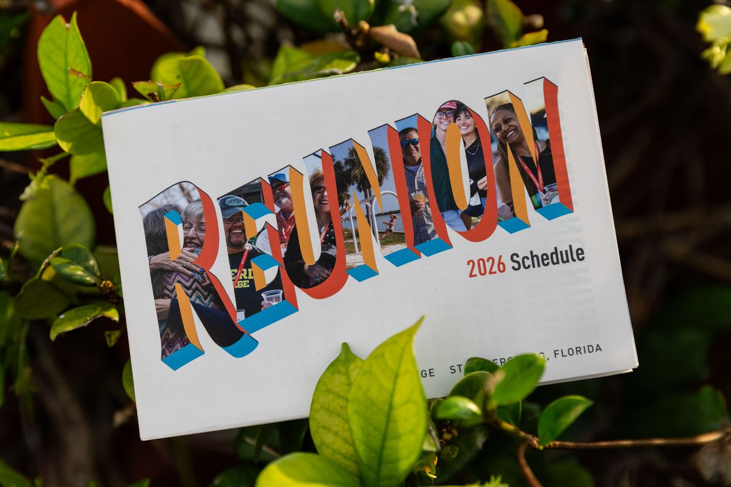 A Reunion 2026 Schedule postcard with colorful retro lettering displayed among green tropical leaves in Florida.