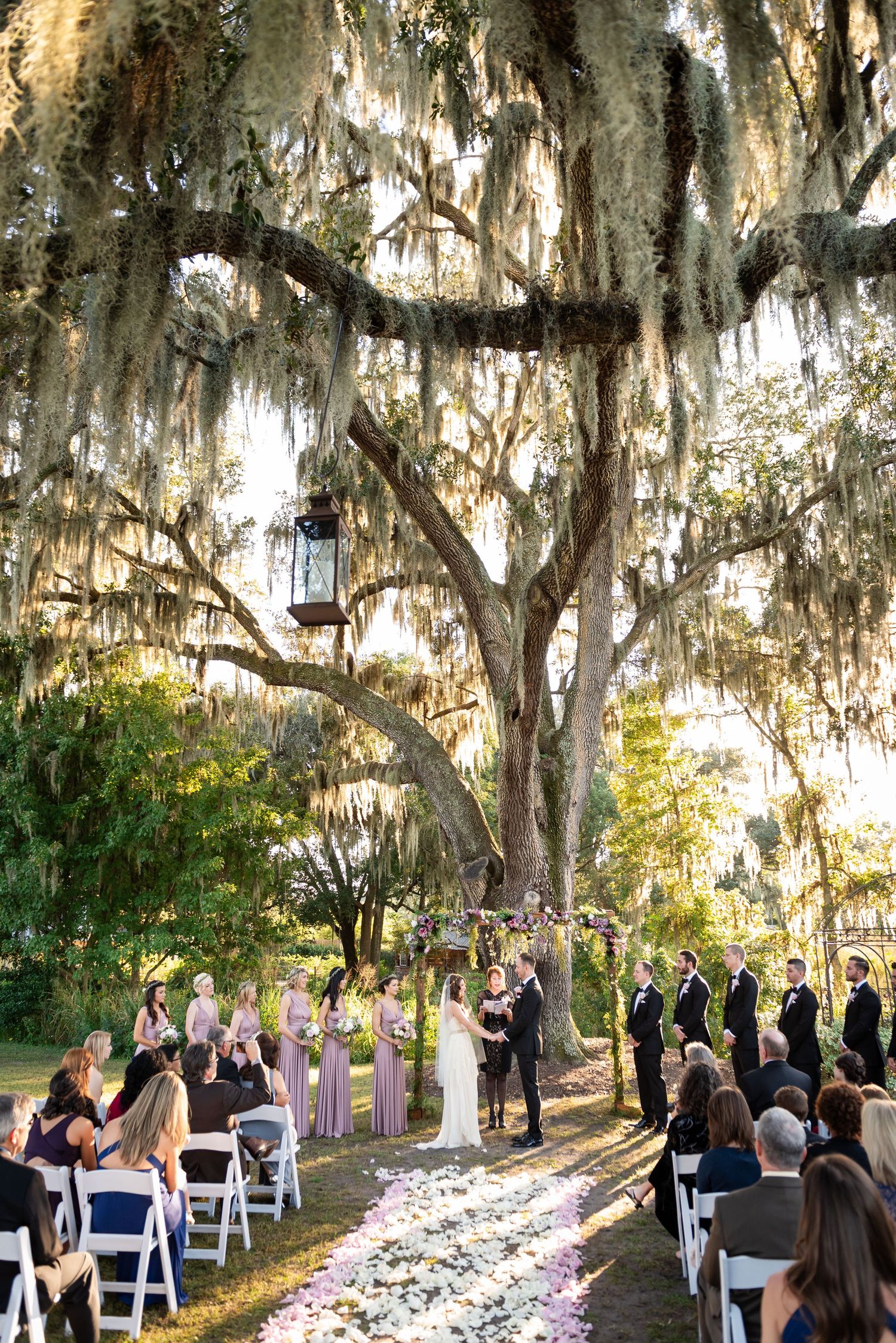 Outdoor wedding ceremony under a large oak tree draped with Spanish moss with a petal-lined aisle.