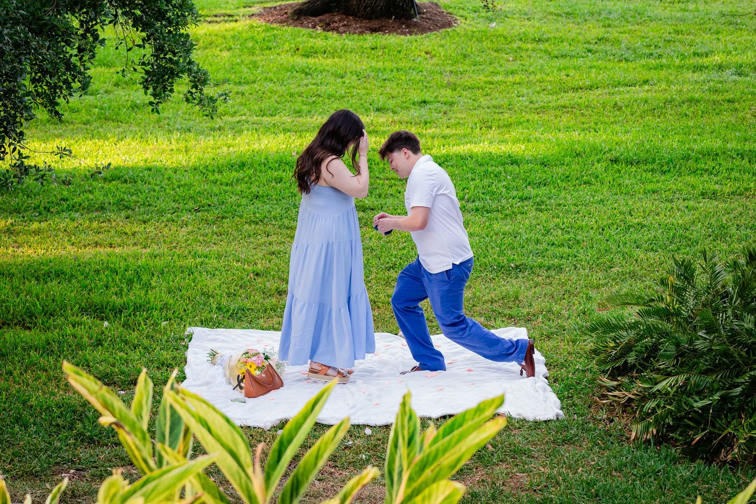 Man kneeling on white blanket proposing to woman in blue dress during outdoor picnic on lush green grass.