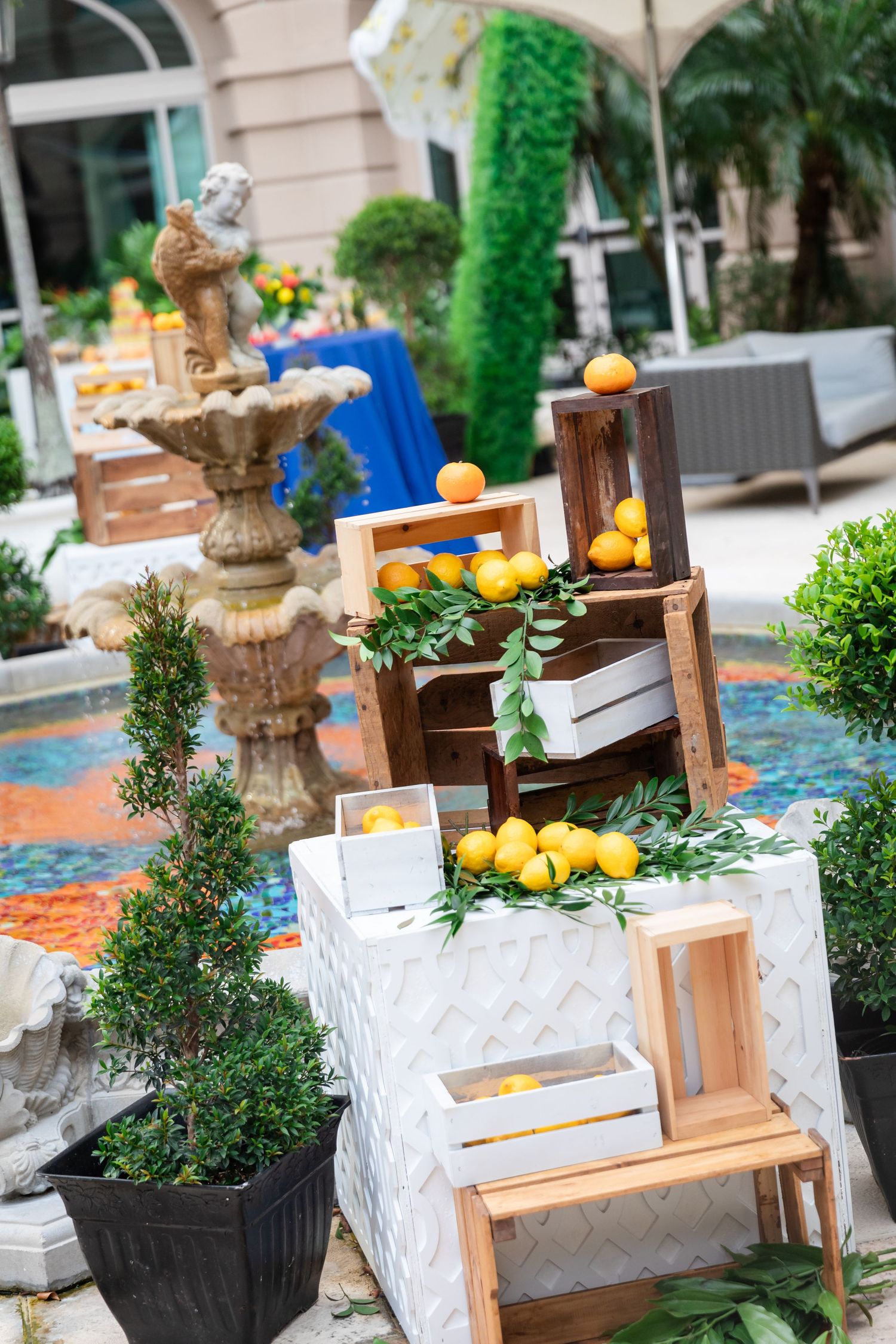 Outdoor event display with wooden crates filled with lemons and oranges near a stone fountain and lush greenery.