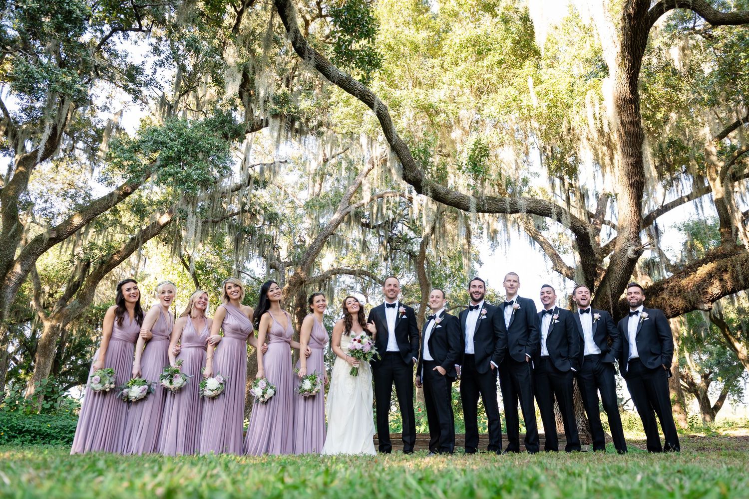 Wedding party poses under Spanish moss oak trees, bridesmaids in blush gowns and groomsmen in black tuxedos.