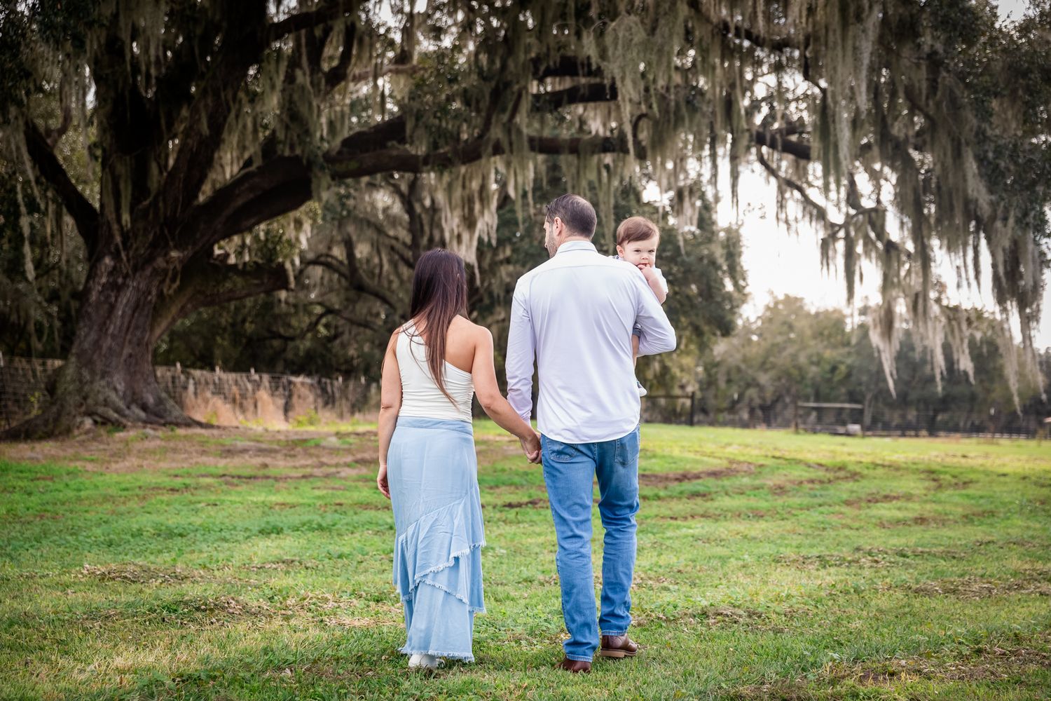 Couple holding hands walking through lush green field under sprawling Spanish moss oak tree.