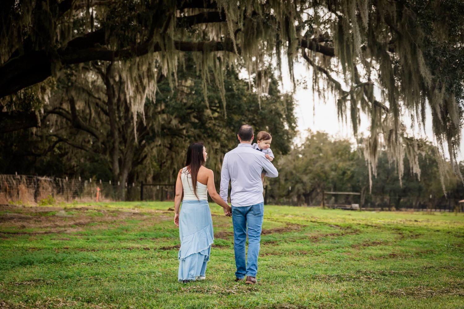 A family of three walks hand-in-hand across a green field beneath Spanish moss-draped oak trees.
