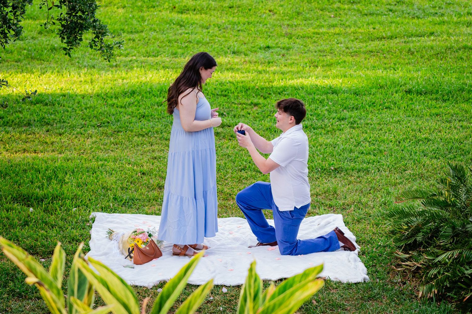 Man kneeling on white blanket proposing to woman in blue dress on lush green lawn outdoors.