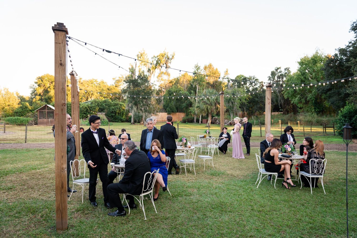 Outdoor wedding cocktail hour with guests seated at white chairs on green lawn with string lights and wooden posts.