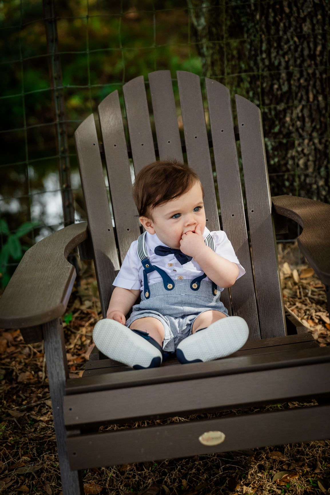 Adorable baby boy in suspenders and bow tie sitting in a wooden Adirondack chair outdoors.