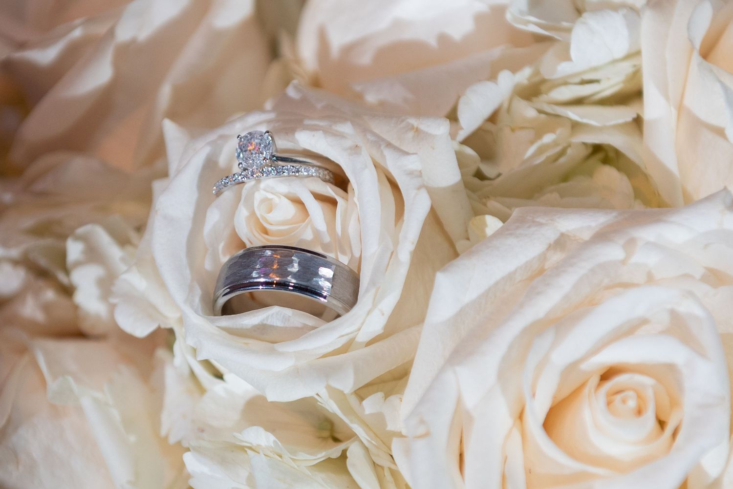 Wedding rings nestled in white roses bouquet, featuring diamond engagement ring and two silver bands.