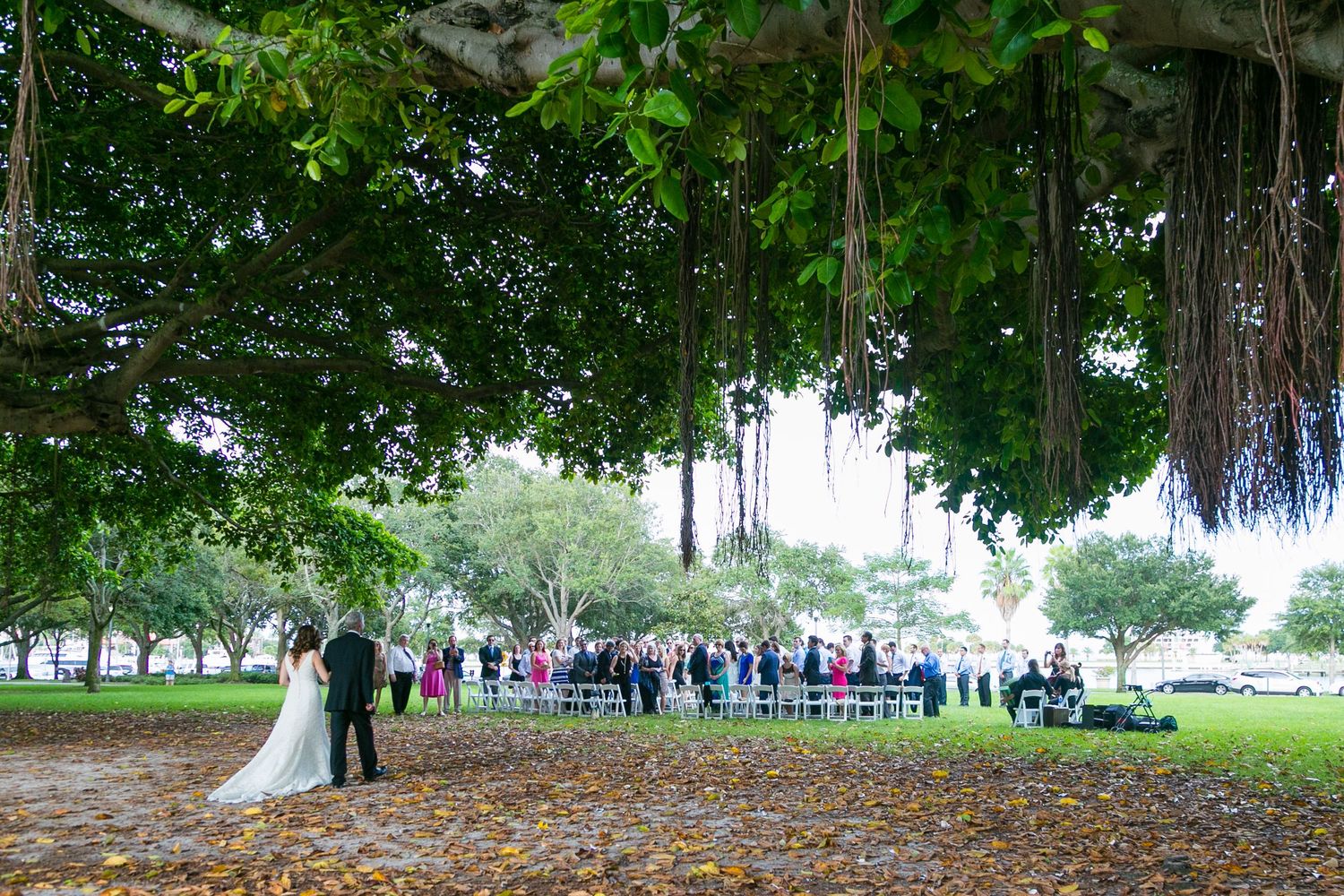 Outdoor wedding ceremony under a large banyan tree with guests seated.