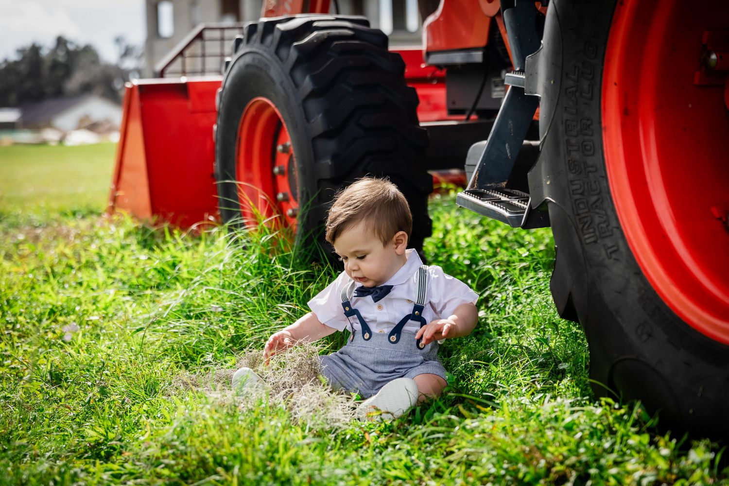 Adorable baby boy in suspenders sitting in green grass beside a large red tractor outdoors.