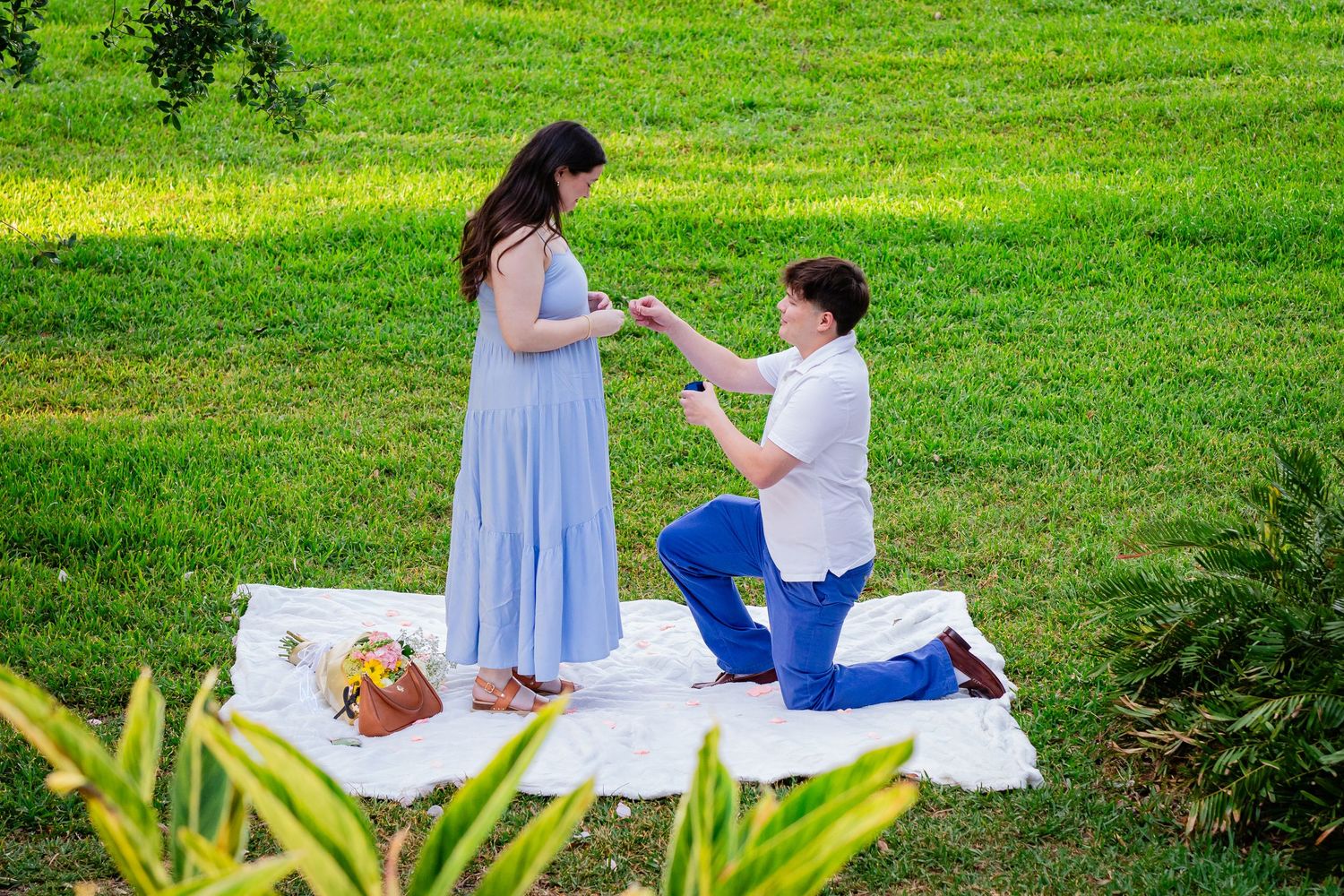 Man kneeling on white blanket proposing to woman in blue dress on lush green grass in romantic outdoor setting.