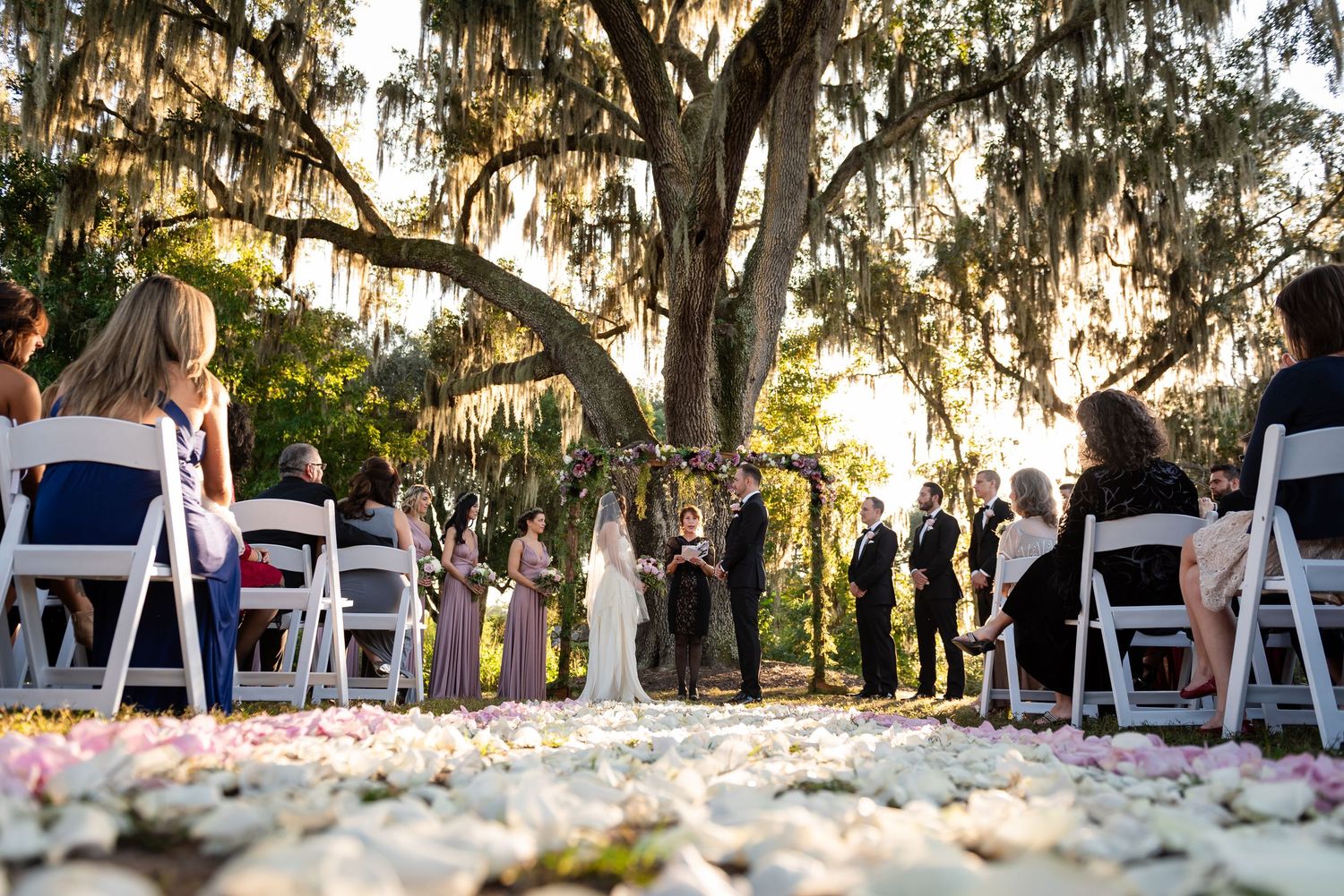 Outdoor wedding ceremony under a large oak tree with Spanish moss, white chairs, and a flower petal aisle at sunset.