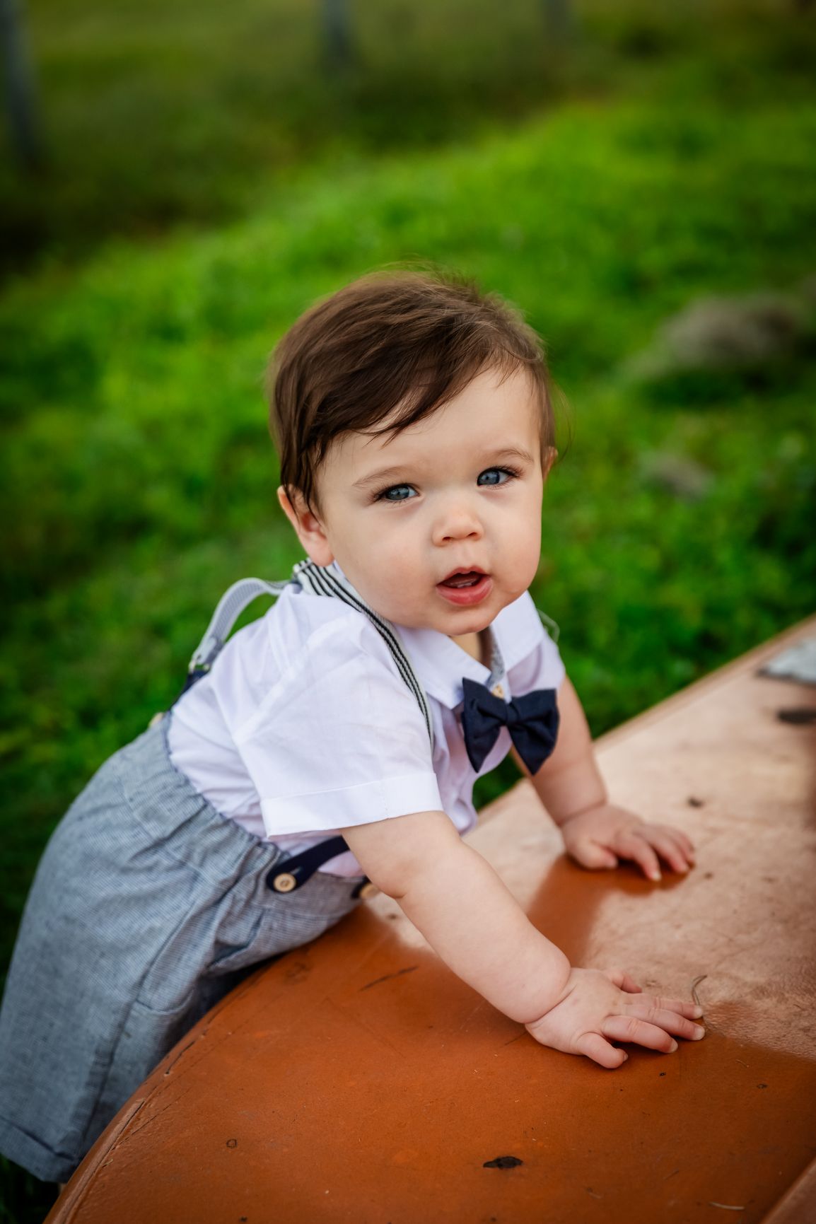An adorable baby boy in suspenders and a bow tie leans on a wooden surface in a green outdoor setting.
