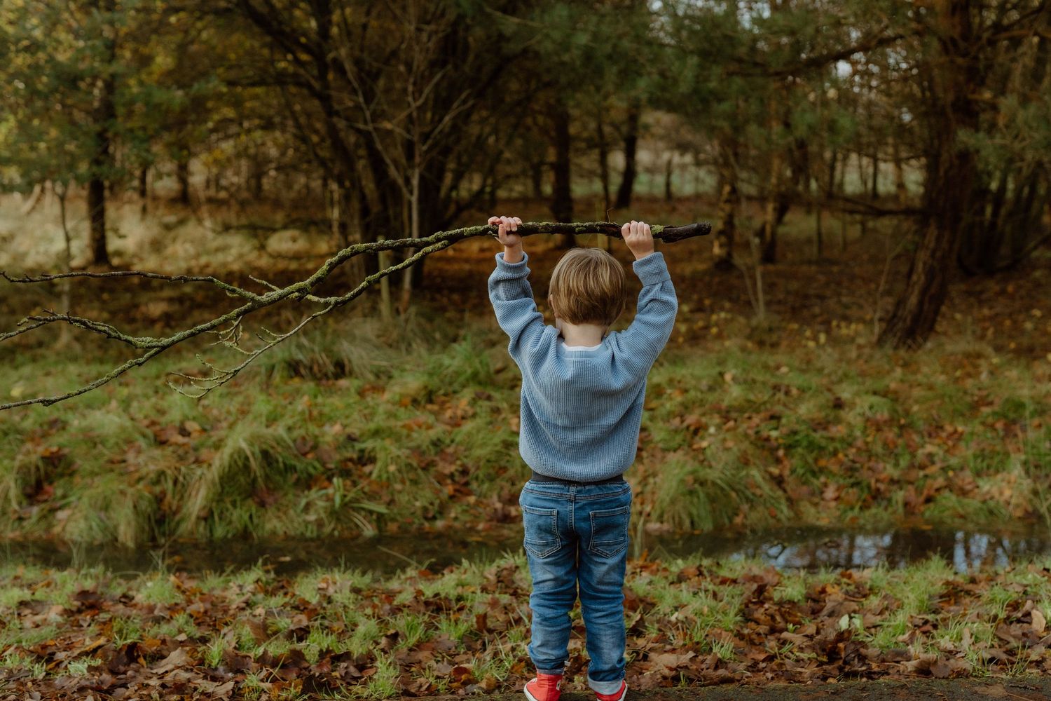 A young child in a blue hoodie holds up a large stick in an autumn forest.
