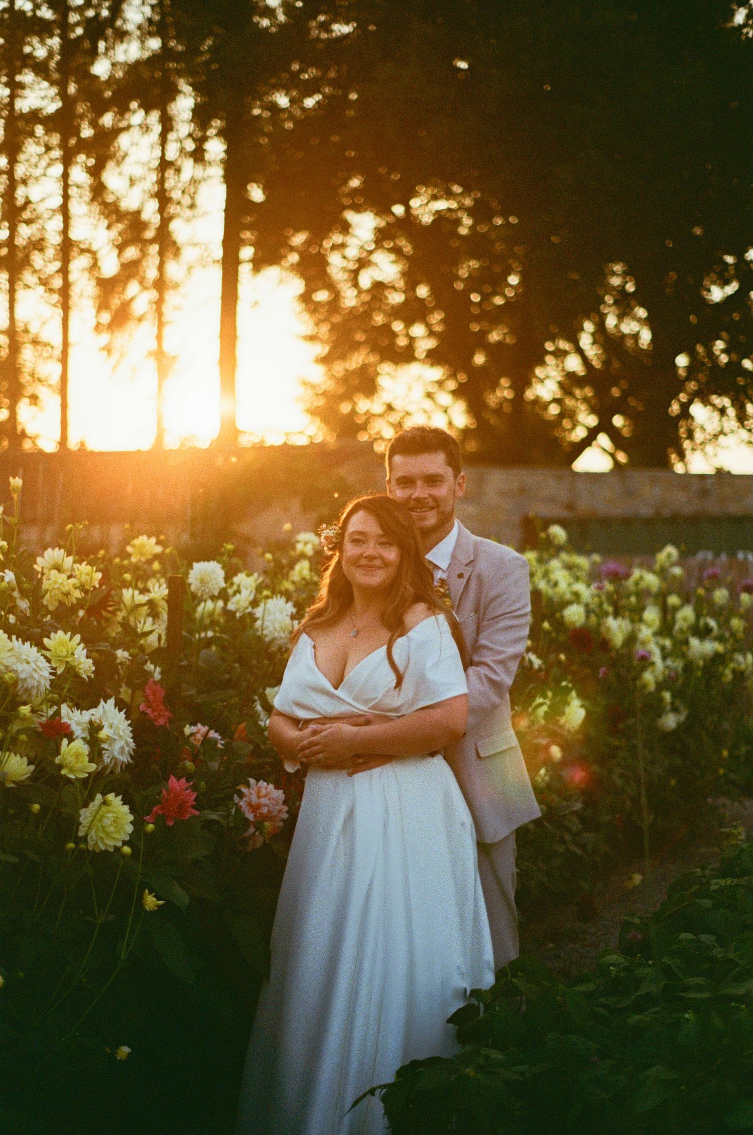 Couple embraces in colorful dahlia flower field bathed in warm golden sunset light on their wedding day.