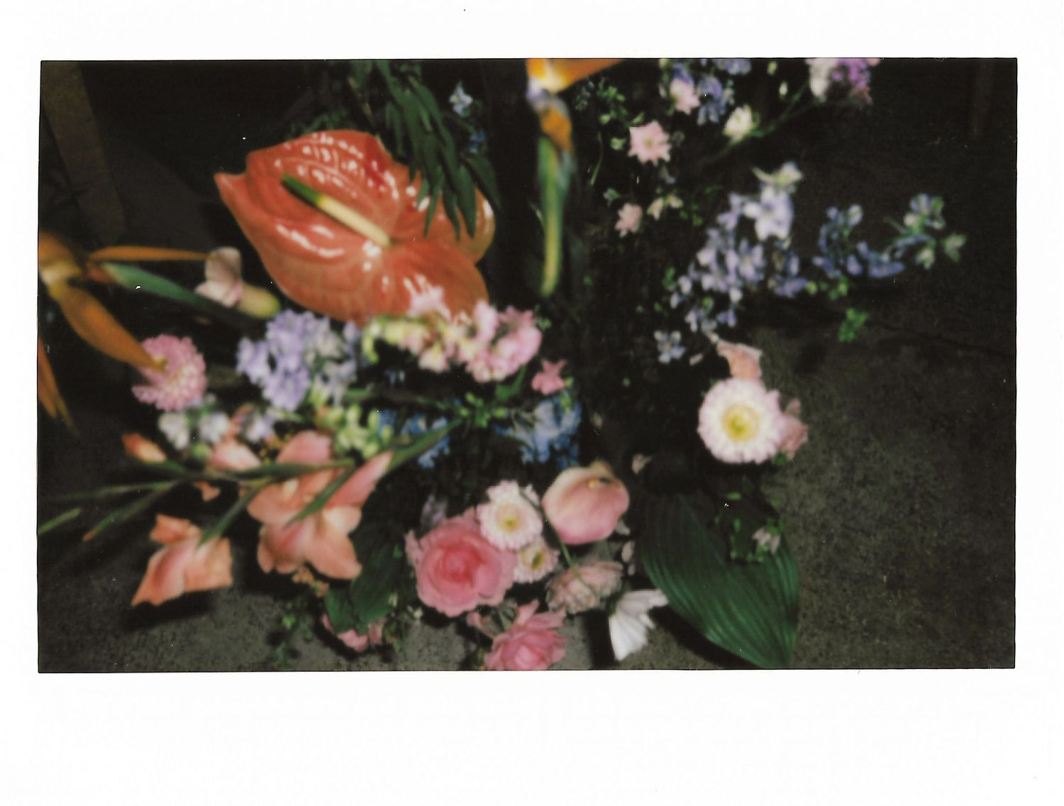 Close-up of colorful wedding floral arrangement featuring pink roses, anthurium, and delicate blue accent flowers.