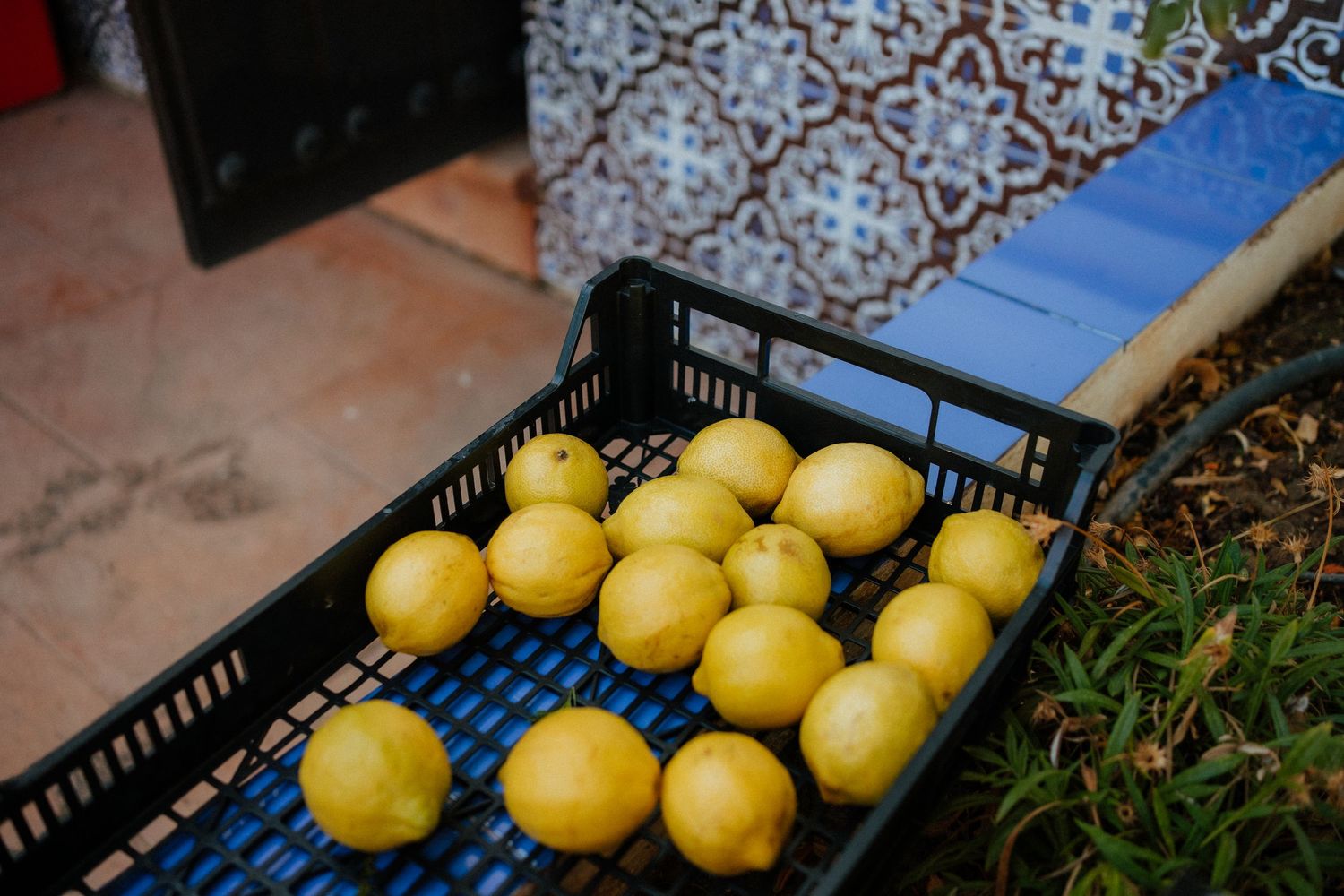 Fresh yellow lemons displayed in a black plastic crate outdoors near decorative tiled wall.