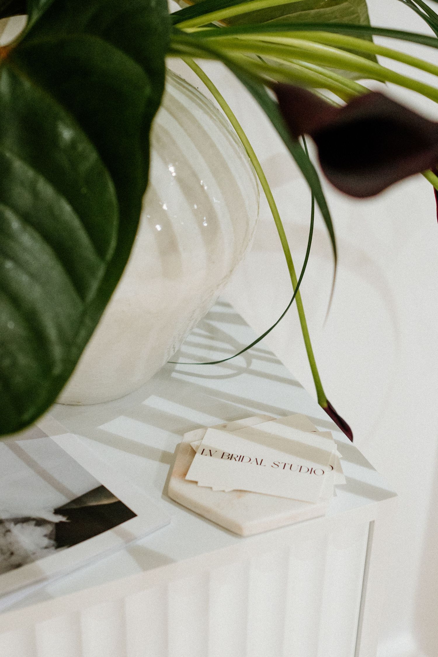 A minimalist still life with green plant leaves and a hexagonal stone coaster on a white surface.