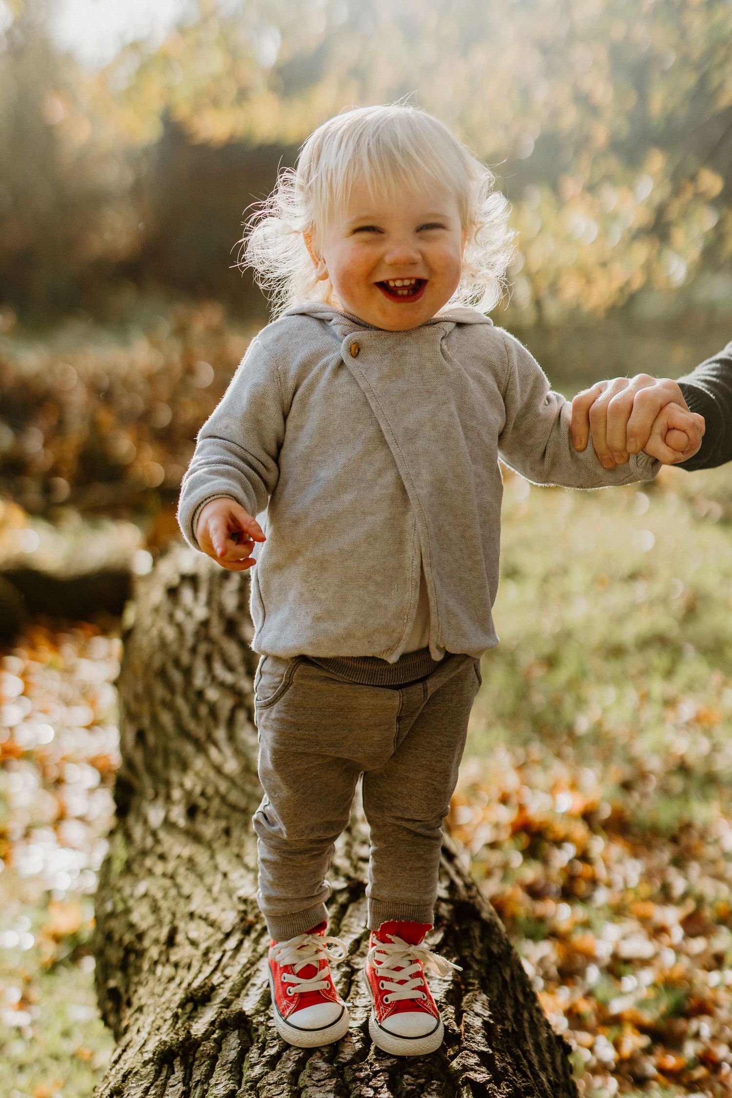 Happy blonde toddler standing on a log in autumn park wearing red Converse sneakers.