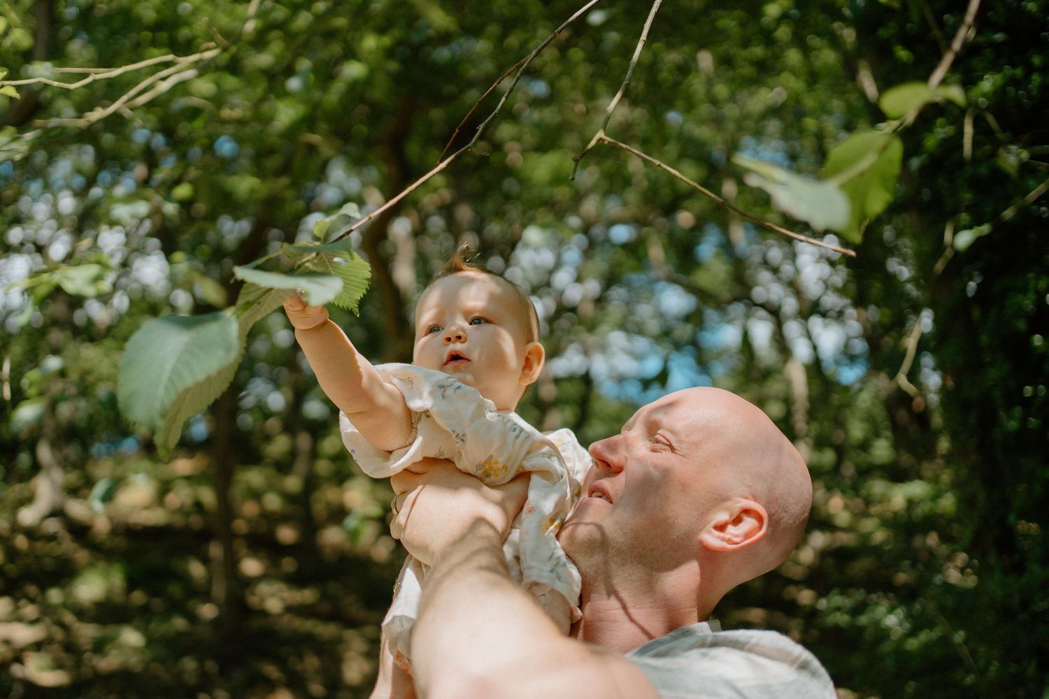 A bald father lifts his baby toward green tree branches in a sunny woodland setting.