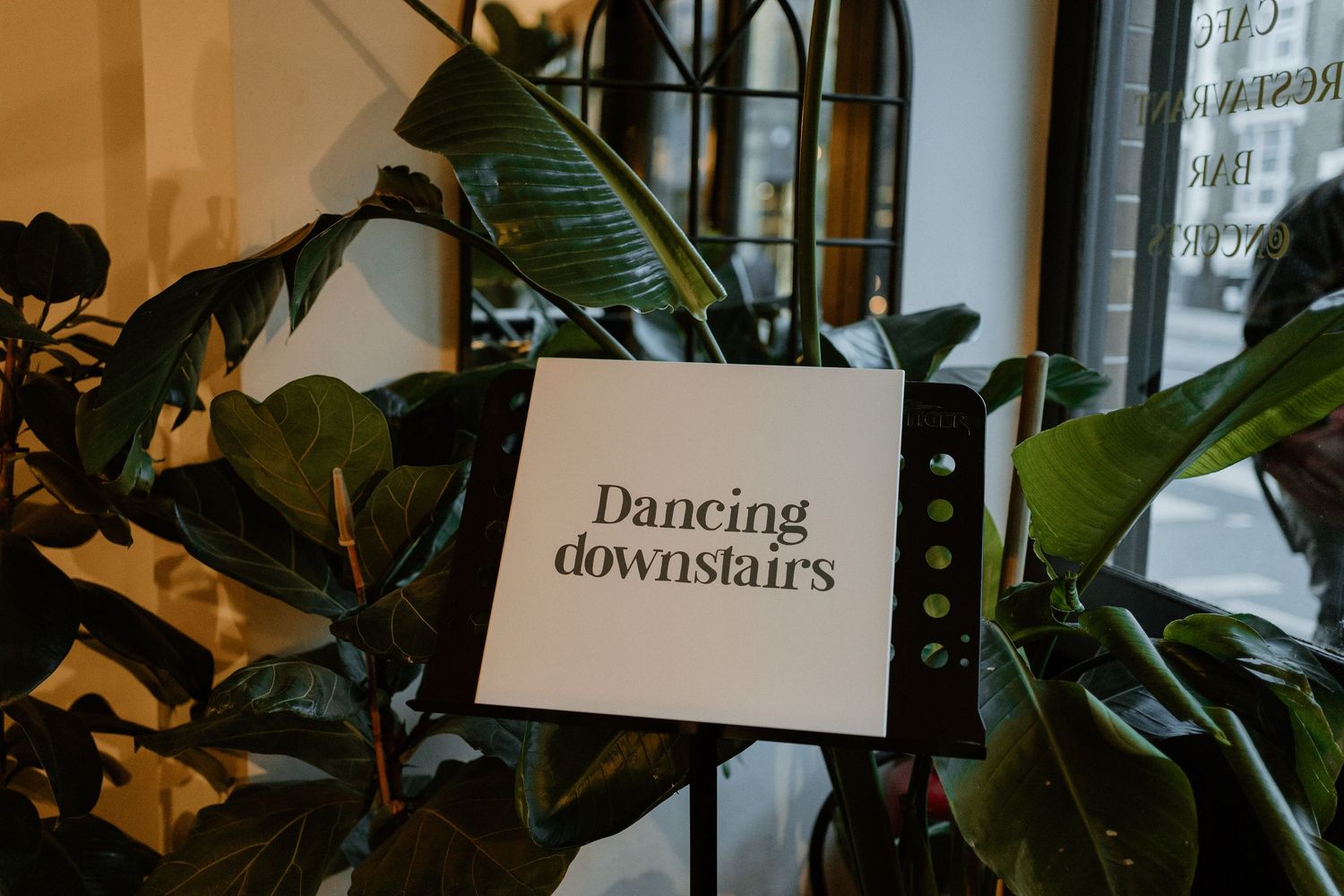 A white sign reading Dancing Downstairs displayed on a stand surrounded by tropical green plants.