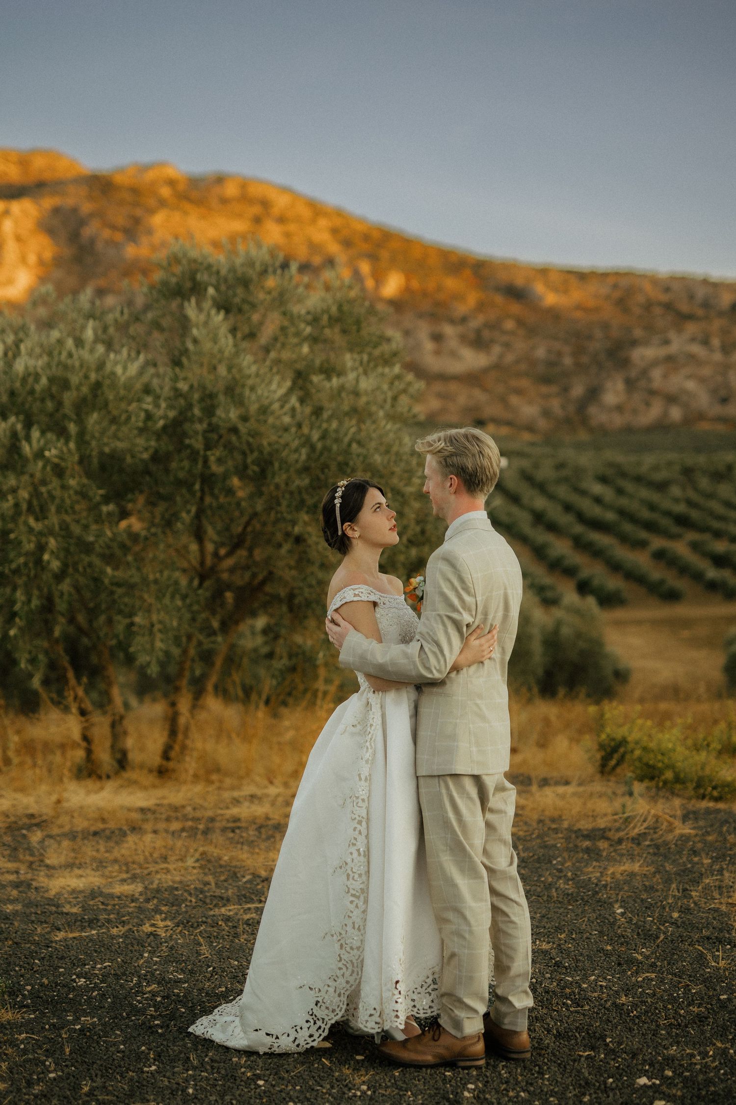 Bride and groom embrace at golden hour with olive groves and a sunlit mountain in the background.